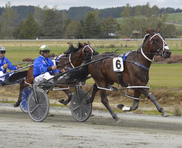 飞行甚至Bettor,如图所示击败稳定的Virgil,是七匹马海景之一......