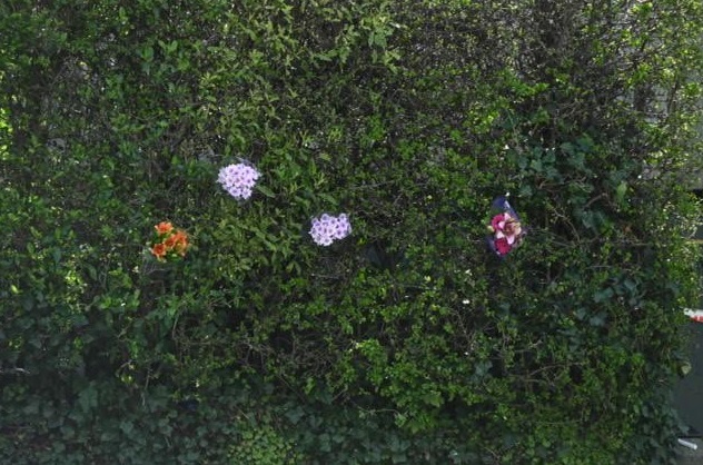 Floral tributes started to appear at the property on Sunday. Photo: Linda Robertson