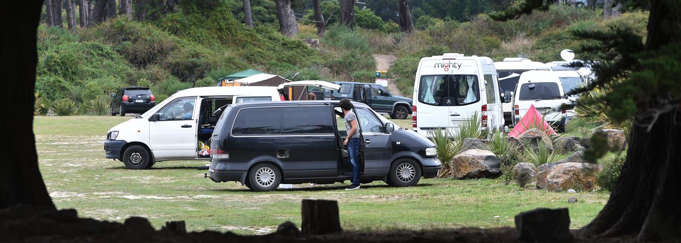 Freedom campers at Warrington domain. Photo ODT