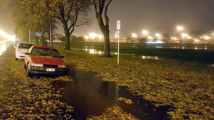 Flooding spreads leaves across the Oval on Princes St late last night. Photo: George Block