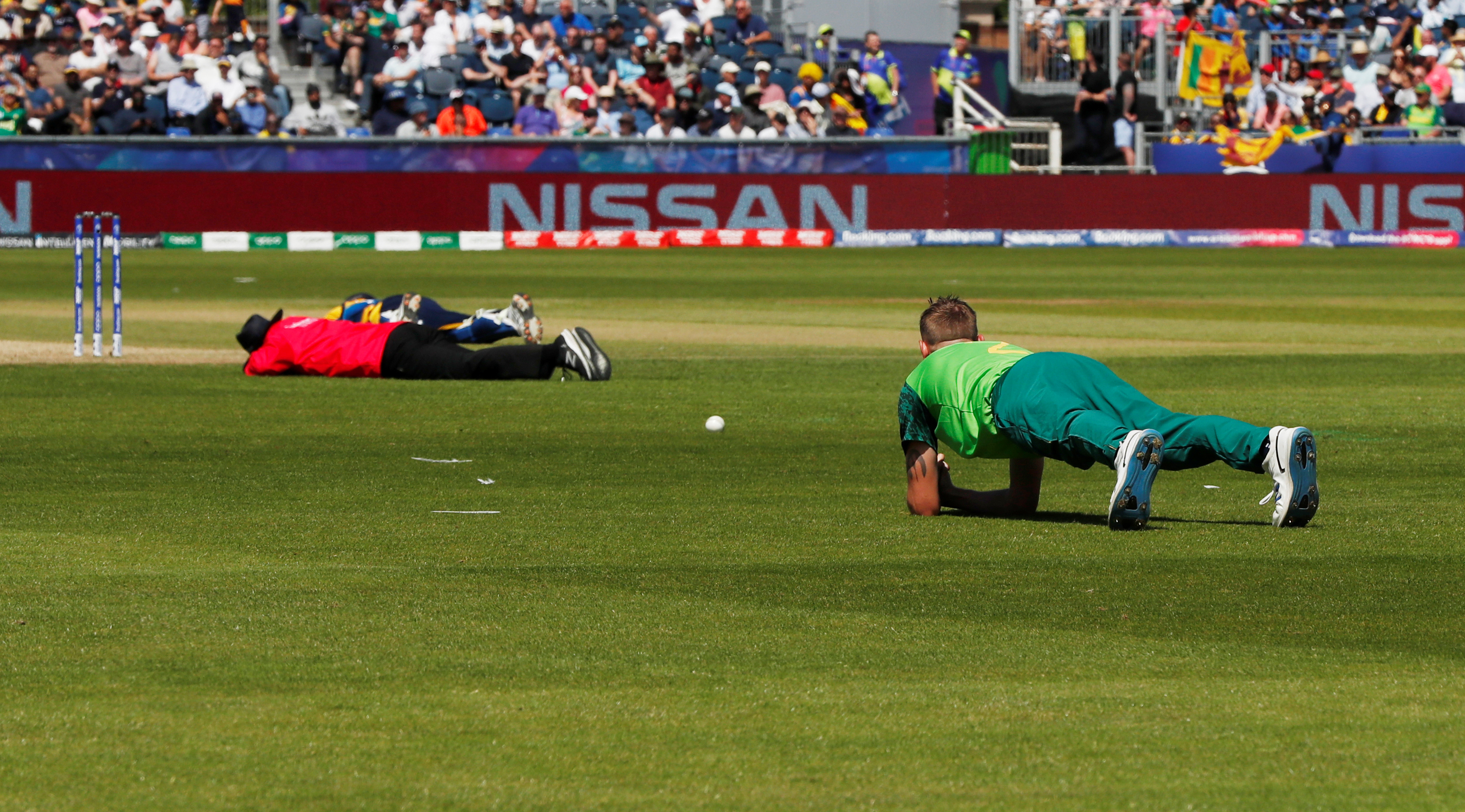 Players and the umpire lie on the ground to avoid bees. Photo: Action Images via Reuters