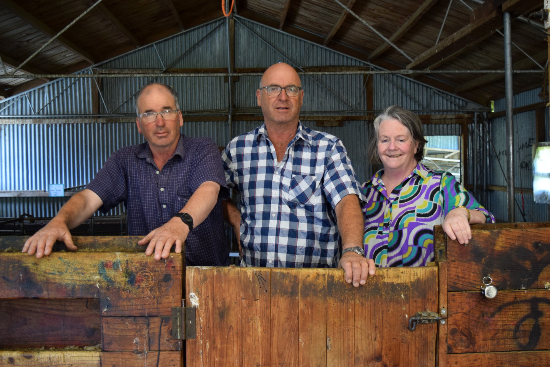 In the shearing shed on Kuriwao Downs are (from left) Copland Mackie, Brent Mackie and Jo Mackie....