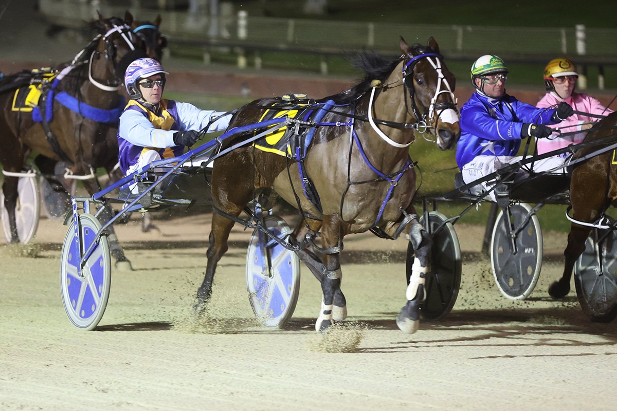 Betterthancash will be out to cap his brilliant form in the Regent Car Court Southern Country...