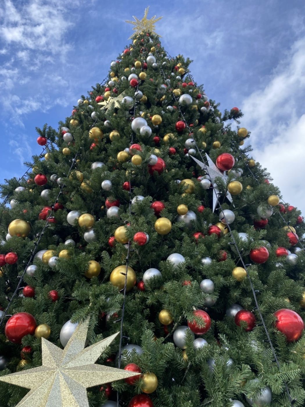 Timaru's Christmas tree before the fire. Photo: Supplied