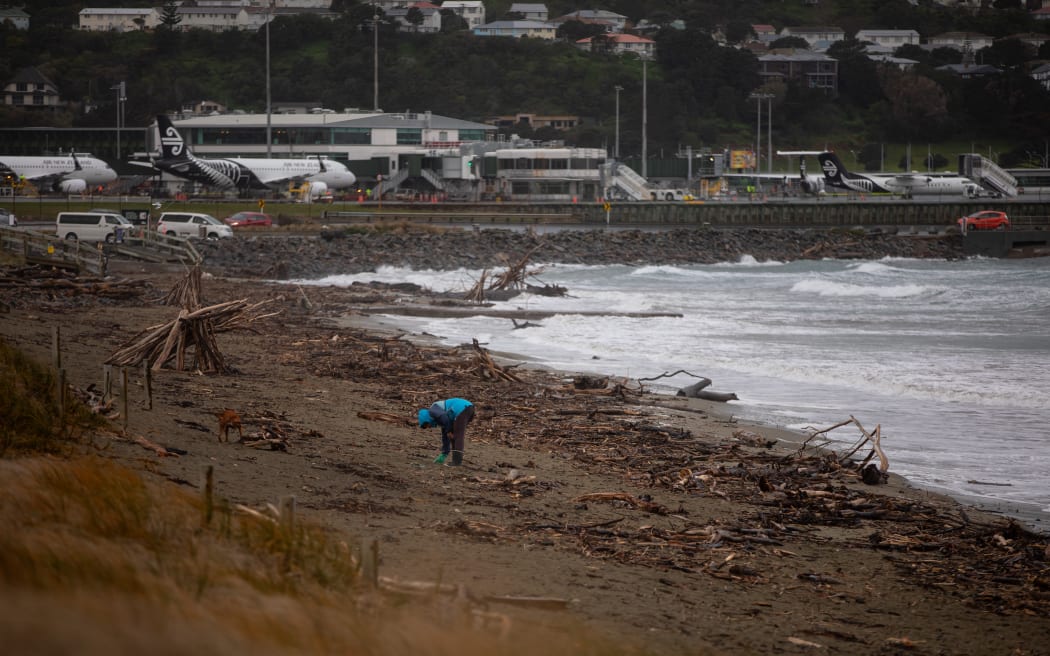 People on the beach at Lyall Bay, Wellington, on Thursday morning. Photo: RNZ