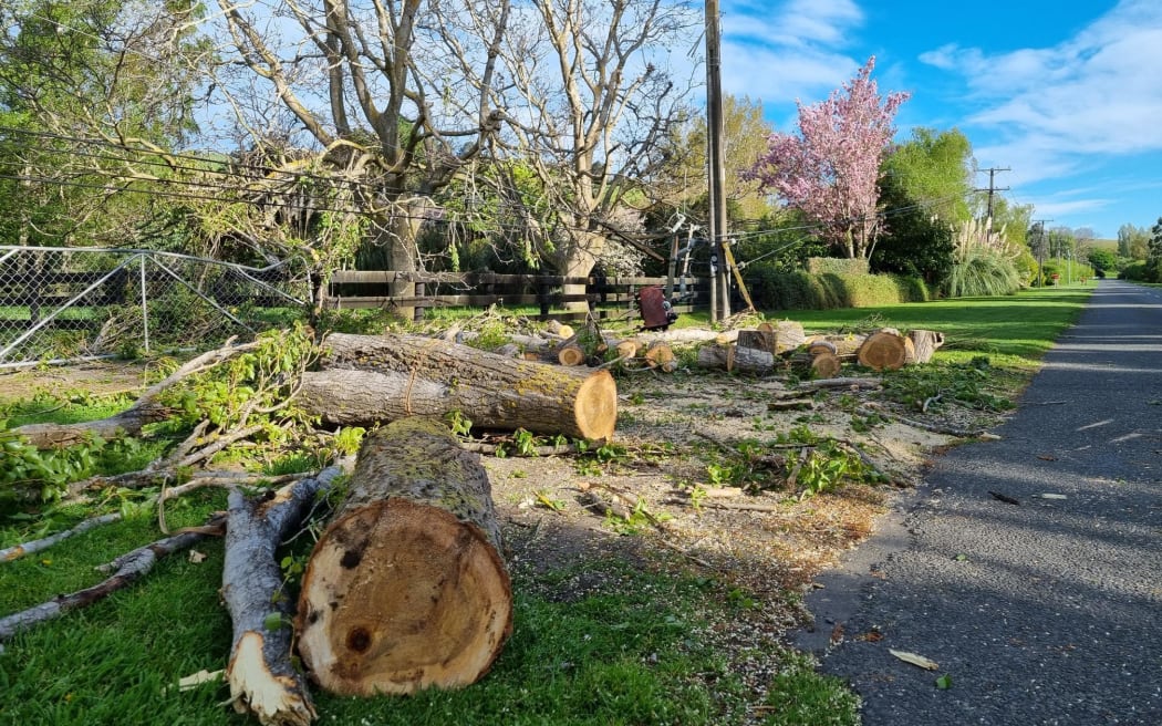 Power lines down near Halswell in Christchurch after Saturday's heavy winds. Photo: RNZ/Jean Edwards
