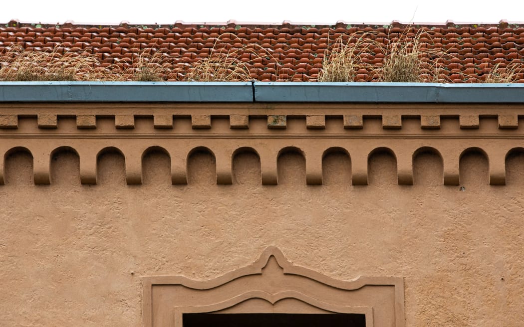 Grass growing in the gutters in the Blue Baths building. Photo: Rotorua Daily Post/Mead Norton...