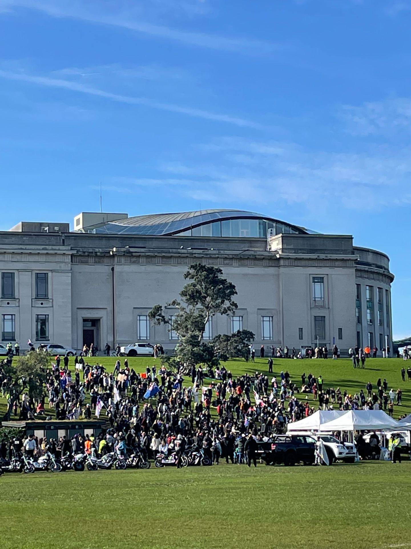 Protesters at the Auckland Domain this morning. Photo: NZ Herald 