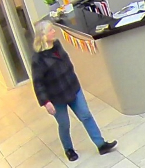 Elisabeth went missing on Wednesday night. Photos: NZ Police