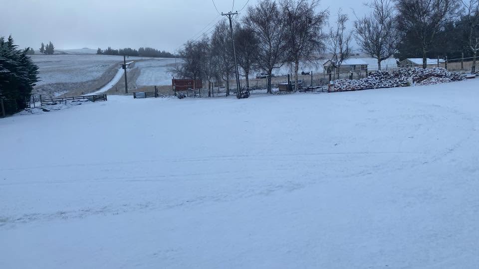 Abbotsford Station, Lee Stream this morning. Photo: Reece Piper