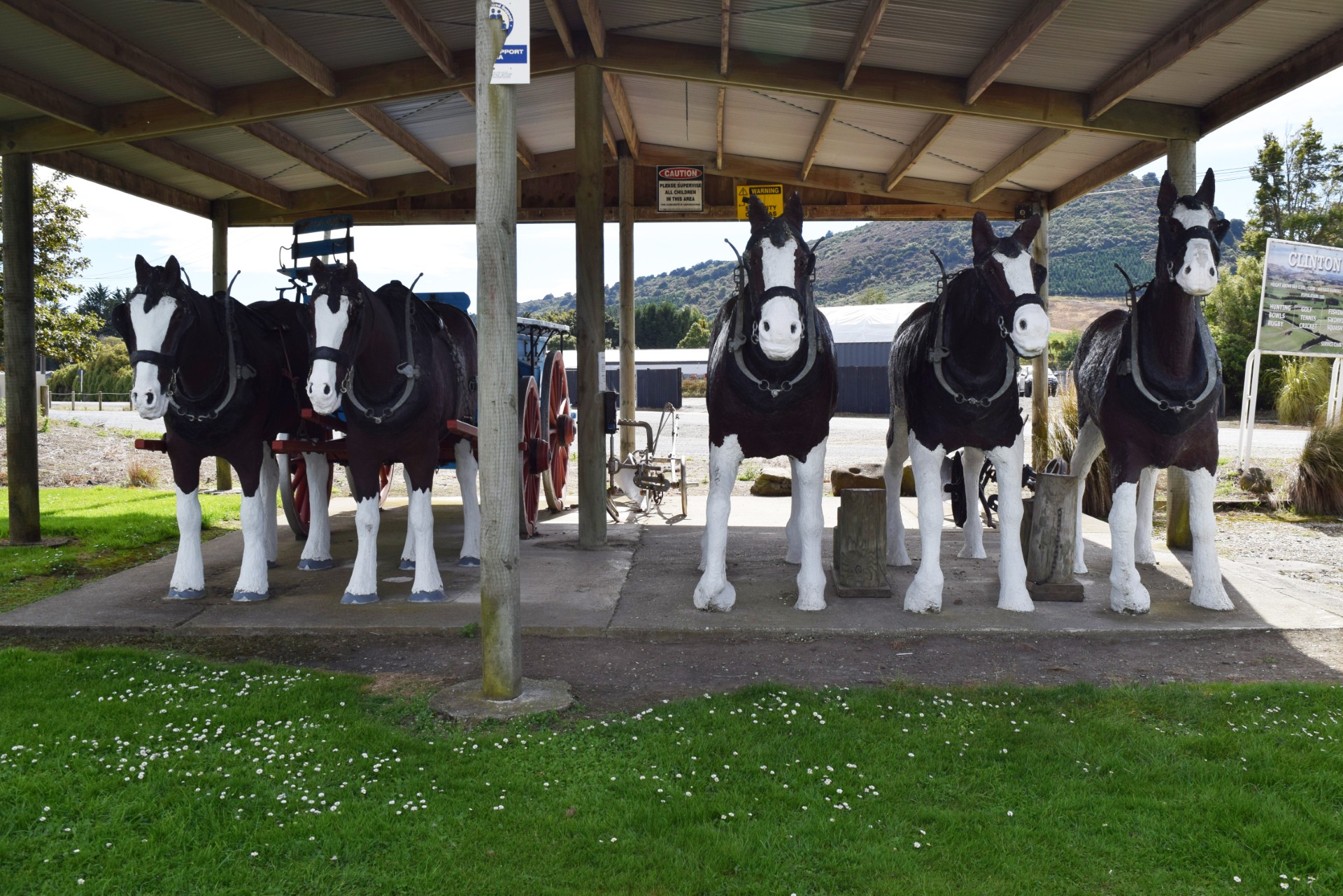 Clydesdale horse statues, created by David Mackie, on display in central Clinton. Photo: Shawn...