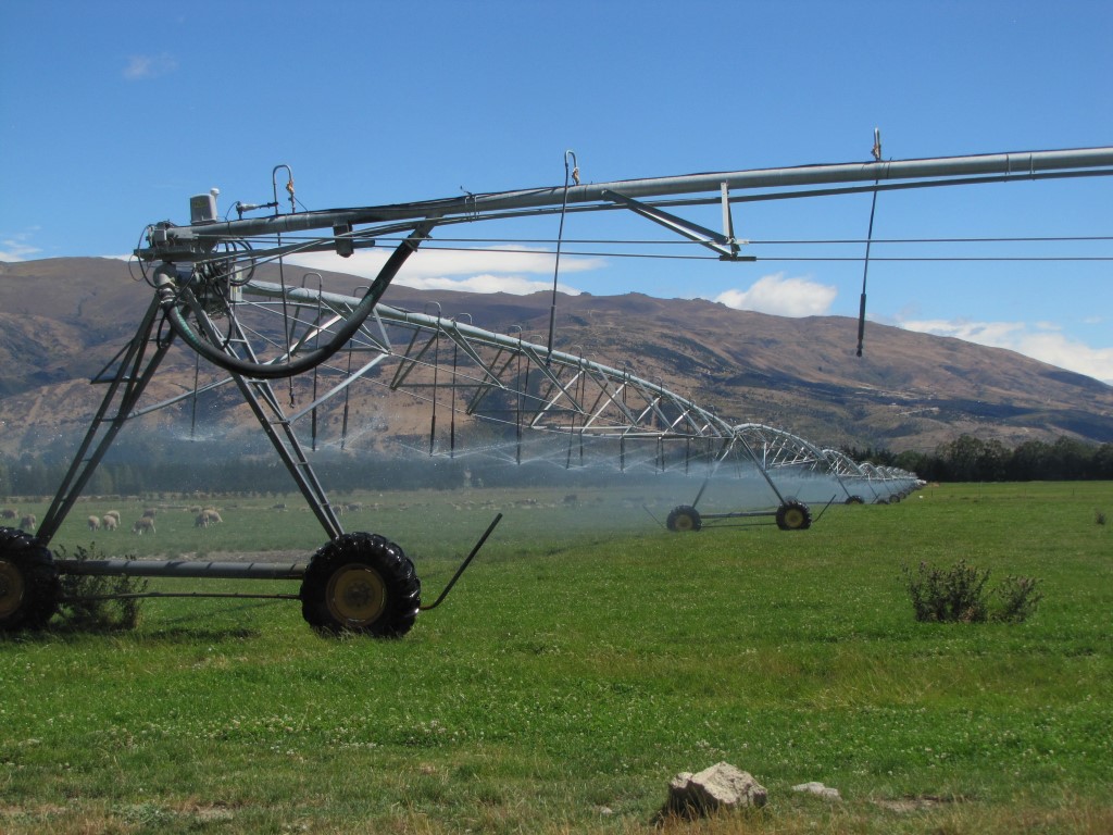 A pivot irrigator operators 2km south of Tarras last weekend. PHOTO: PAM JONES