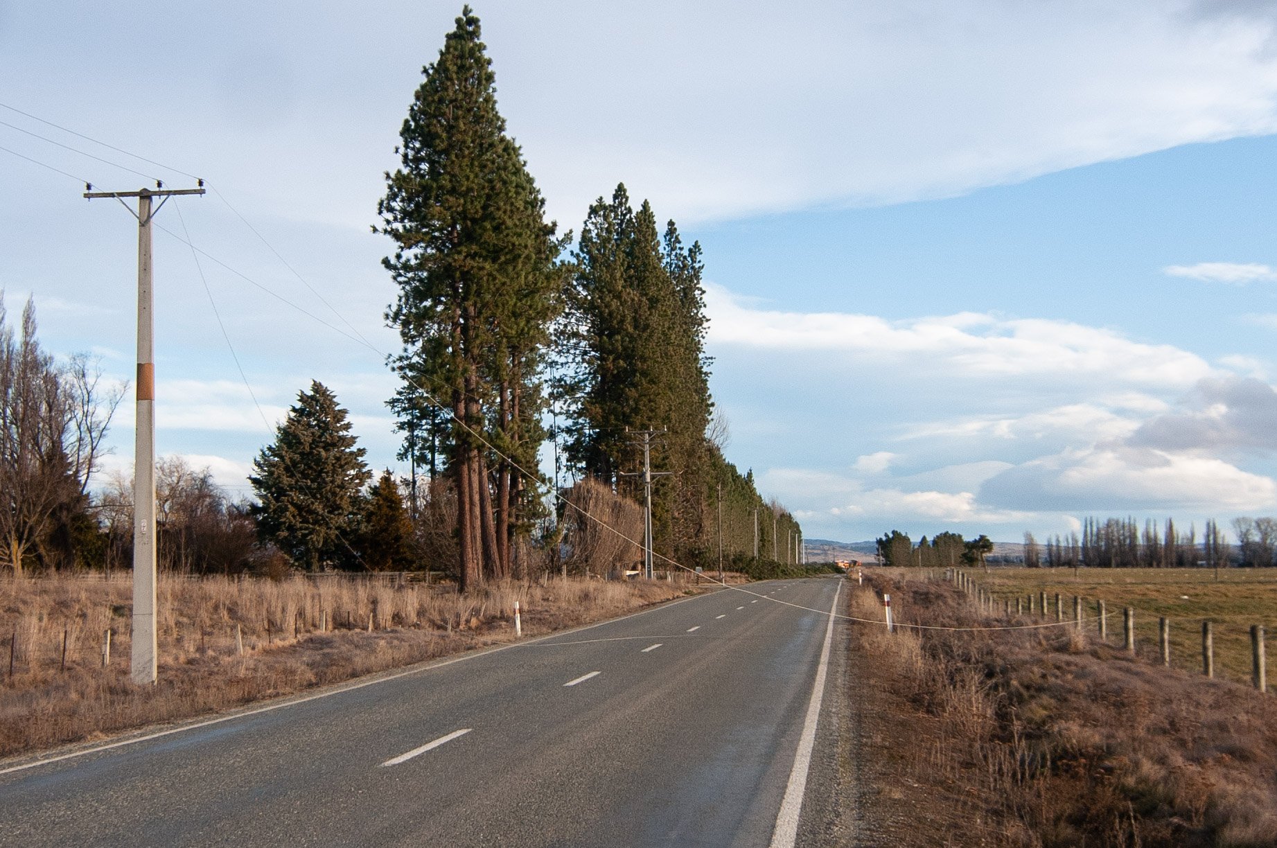 Downed power lines across the Ida Valley-Omakau Rd. PHOTO: SHANNON THOMSON