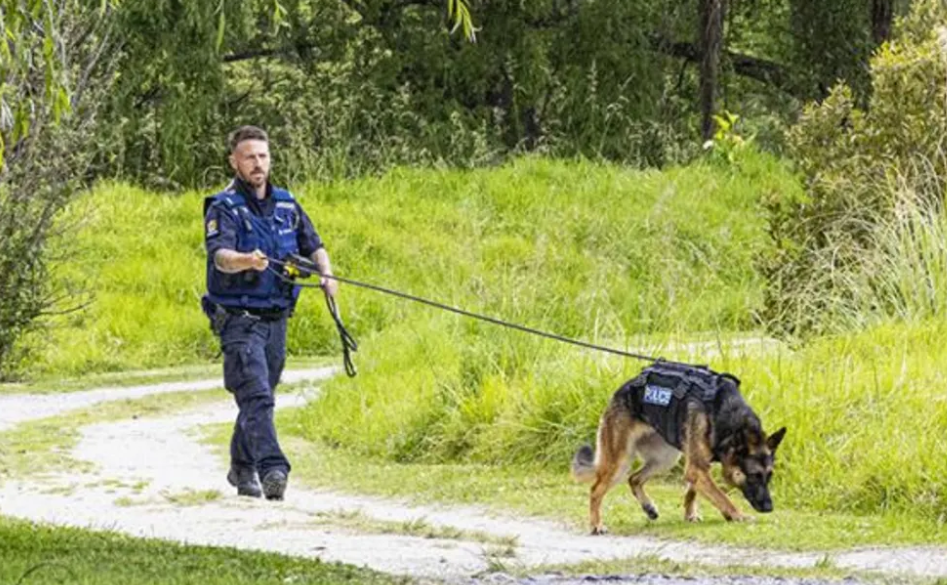 Constable Adam Johannsen and Teo at work. Photo: Supplied / NZ Police / Senior Constable Alex...