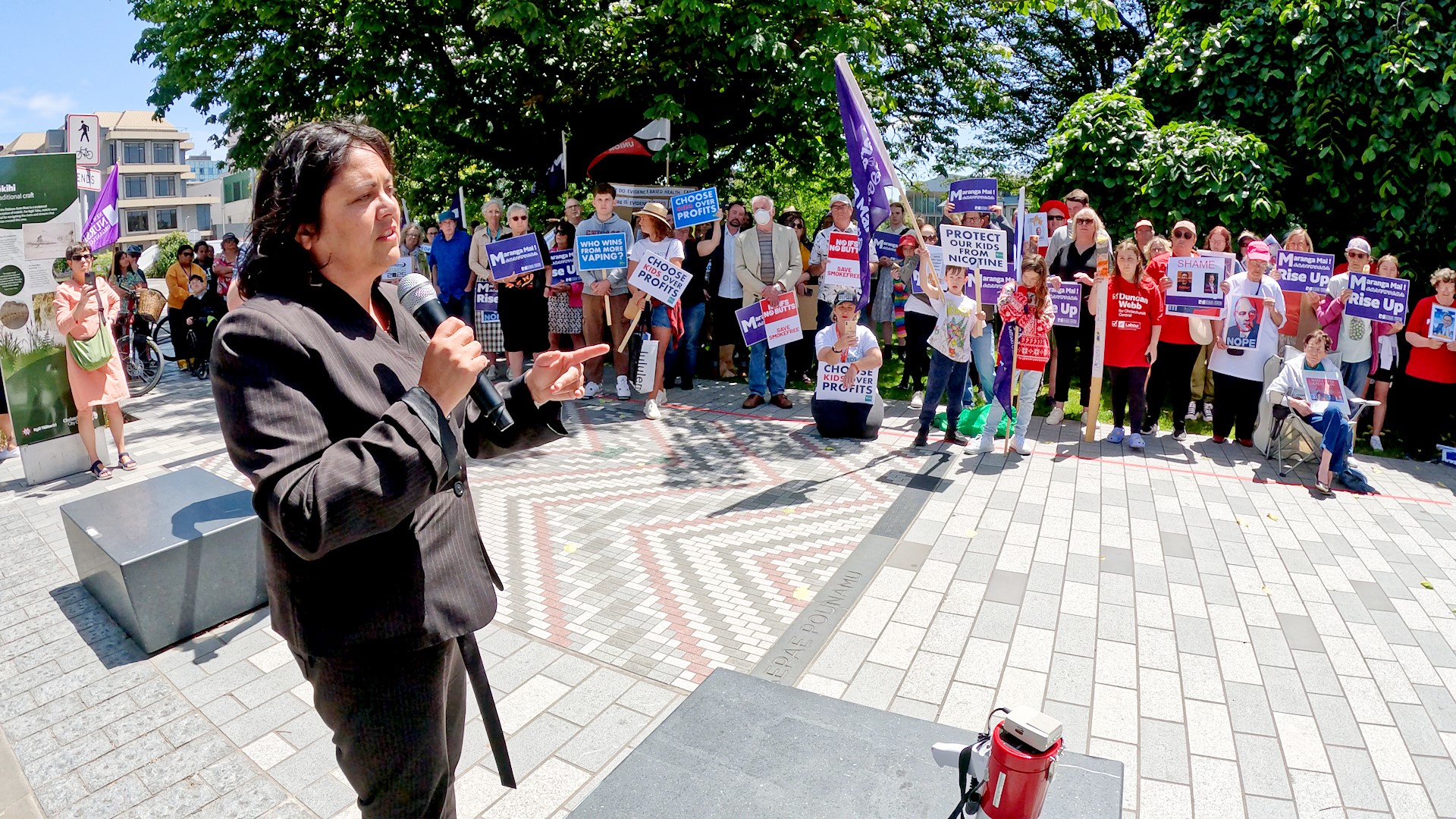 Labour's health spokesperson Dr Ayesha Verrall told the crowd the government's plans to repeal...