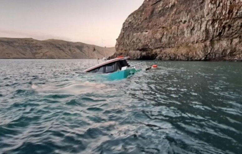 The Black Cat Cruises catamaran sank in Akaroa. Photo: Canterbury Regional Council / SUPPLIED