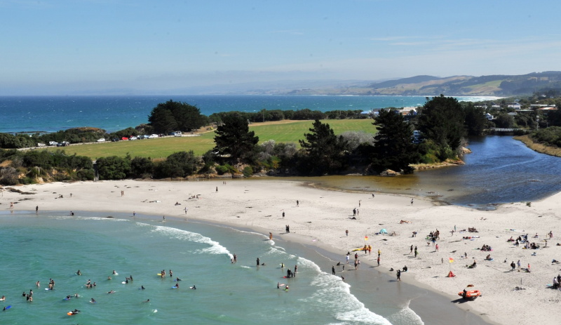The surfer was bitten at Brighton Beach. File Photo: Gregor Richardson