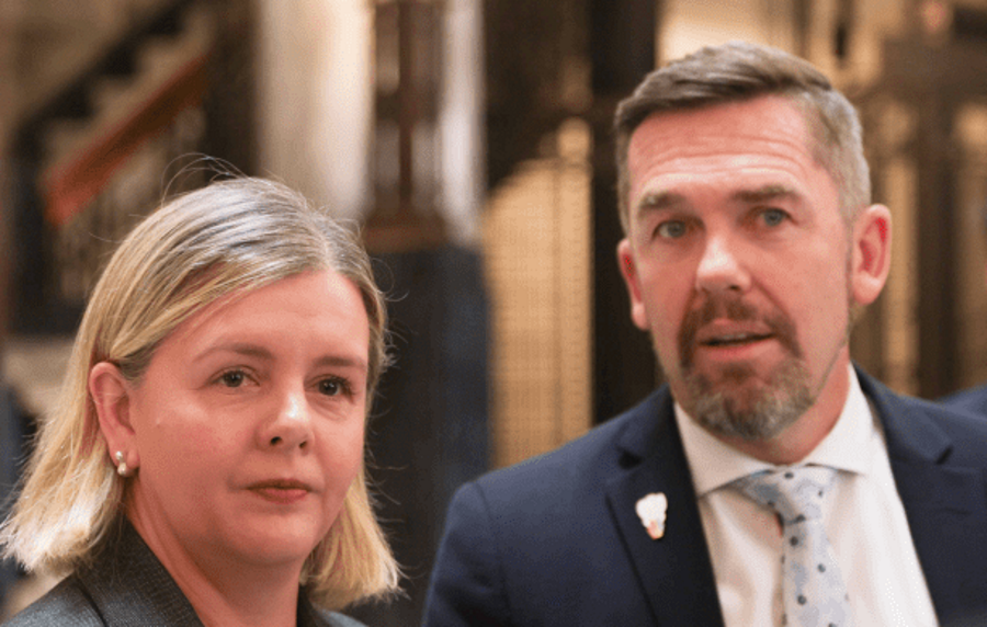 Labour MP Camilla Belich and National's Greg Fleming announced the move at Parliament yesterday....