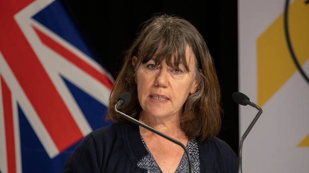 Director of public health Caroline McElnay. File photo 