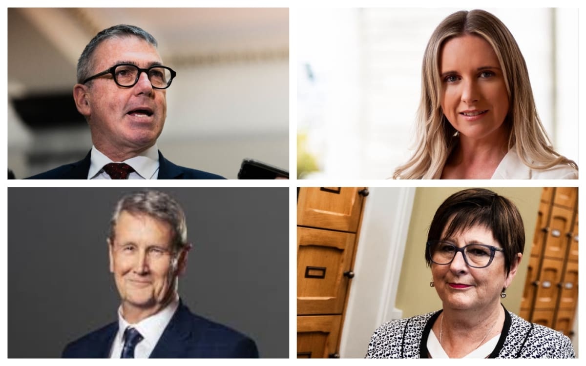 Clockwise from top left: Duncan Webb, Laura McClure, Maureen Pugh and David Wilson. Photos: RNZ...