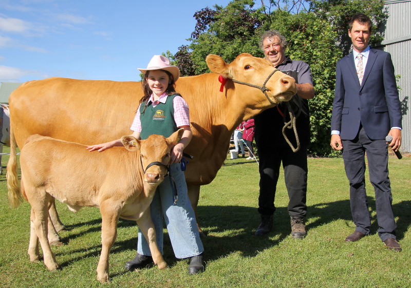 Beef breed Cow & Calf at Foot winners South Devon cow Sylvia and calf Sunflower led by 11 year...