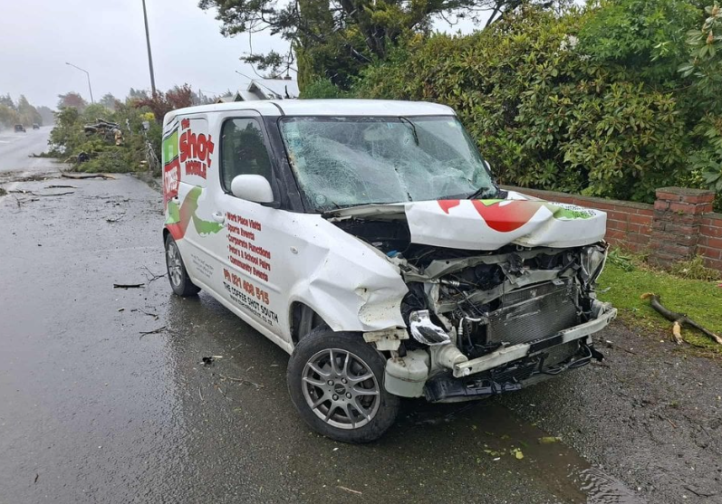 Justine Abbott's van was wrecked after a tree fell on it. She was shocked but not hurt. Photo:...