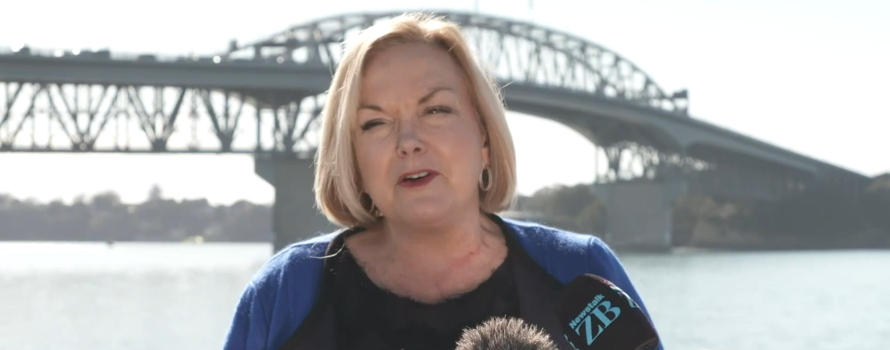 National Party leader Judith Collins. Image: RNZ 