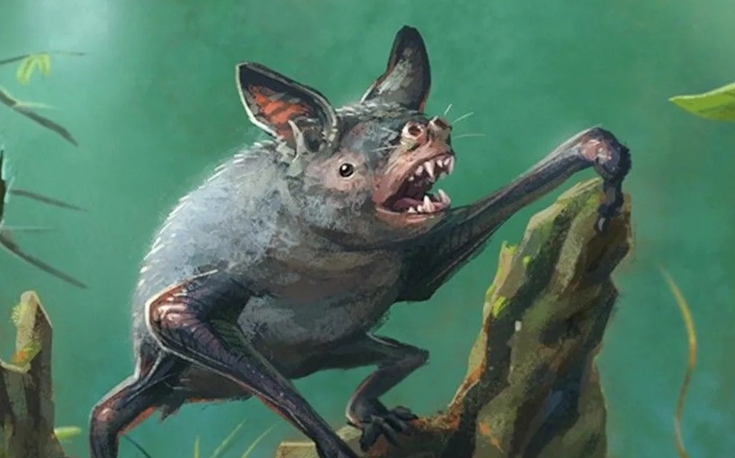 An artist's impression of a short-tailed New Zealand bat, similar to the new Mystacina nymphe...