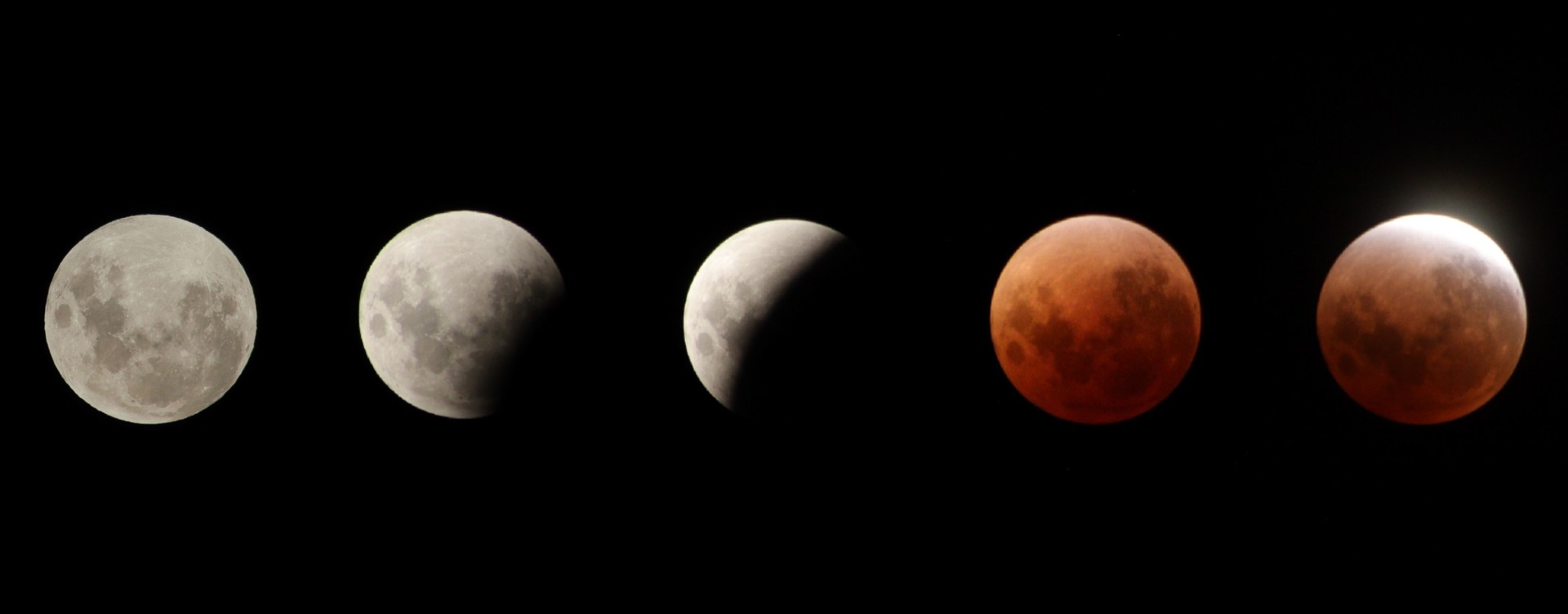The progression of the lunar eclipse as seen from Ranfurly. Photo: Amy Hughes 
