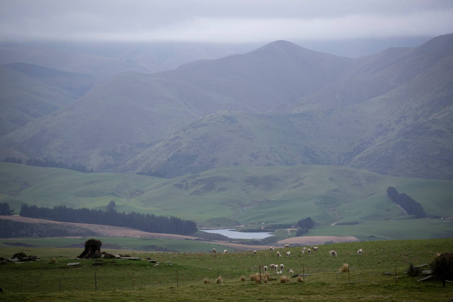 The water reservoir near Dunback in Otago where mother Nadine Tomlinson and her son Angus were...