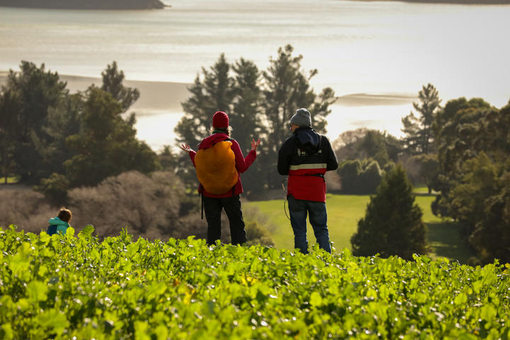 Photo: RNZ / Nate McKinnon