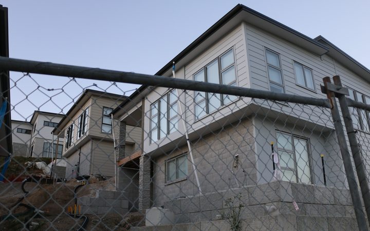 The council will demolish the houses before selling off the land. Photo: RNZ