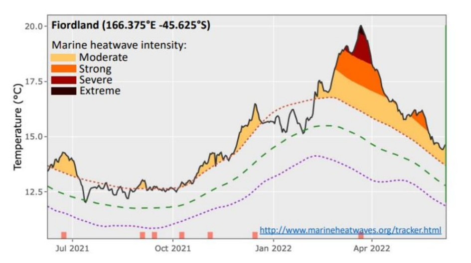 Both Westland and Southland have seen a moderate to extreme marine heatwave.