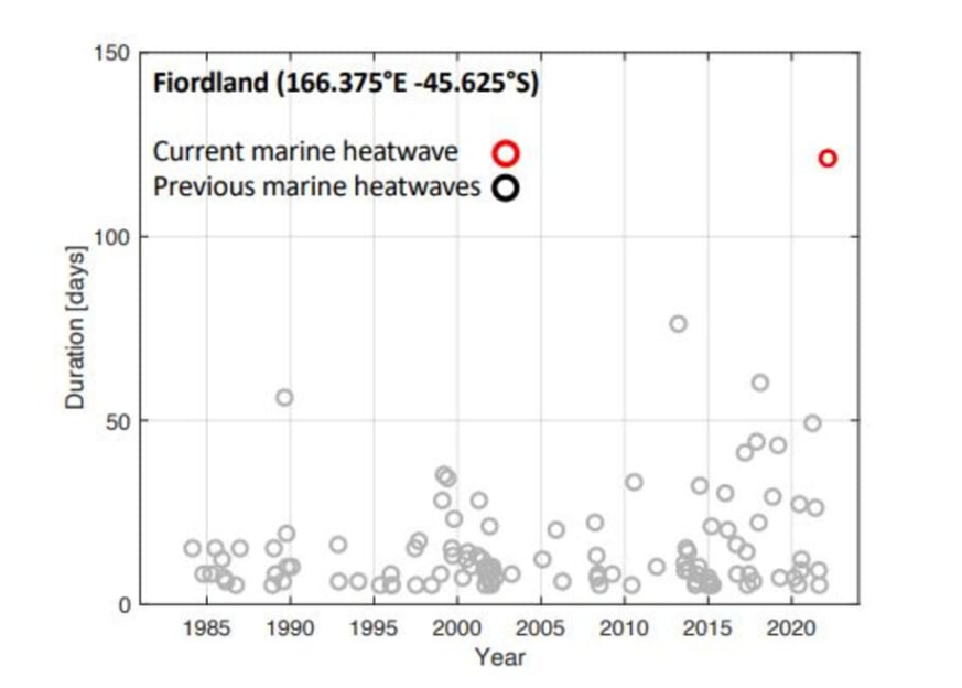 Both Westland and Southland have seen a moderate to extreme marine heatwave.