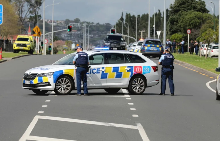 Police said they were called to Flat Bush just about 9.30am, and a gun was fired at police. Photo...