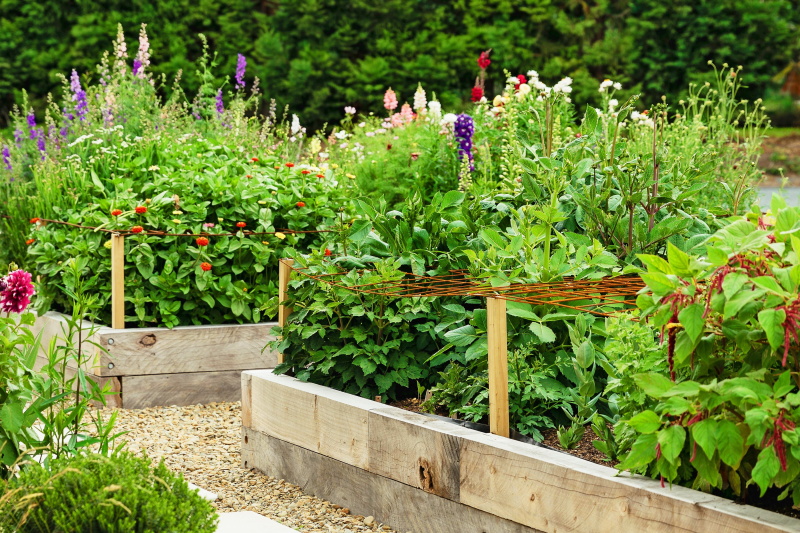 Photo: Olivia McCord