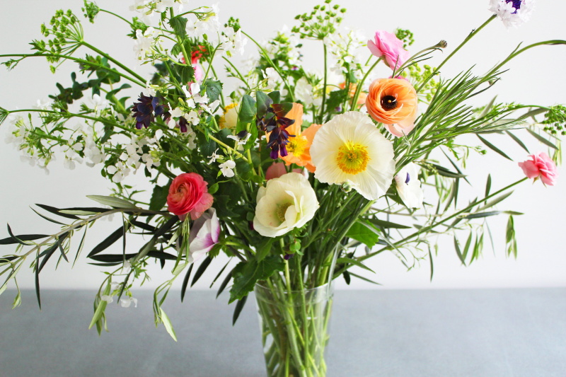 Photo: Olivia McCord