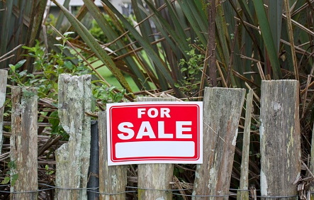 Photo: Getty Images (file)