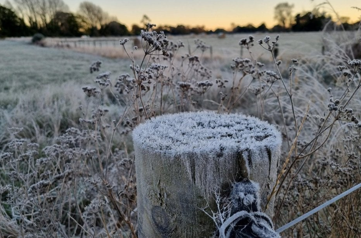 A frosty fencepost in rural Canterbury this morning. Photo: RNZ / Jean Edwards