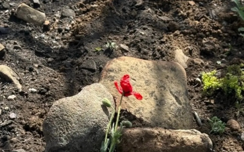 Battlefield remains unearthed by wildfires in Gallipoli have been covered up by a Kiwi team....