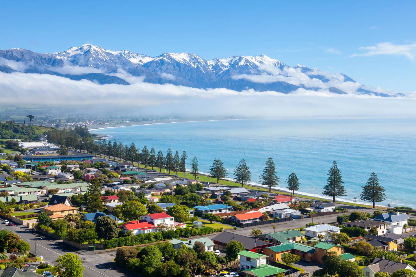 Temperatures along the east coast of the South Island are unseasonably warm today, especially in...