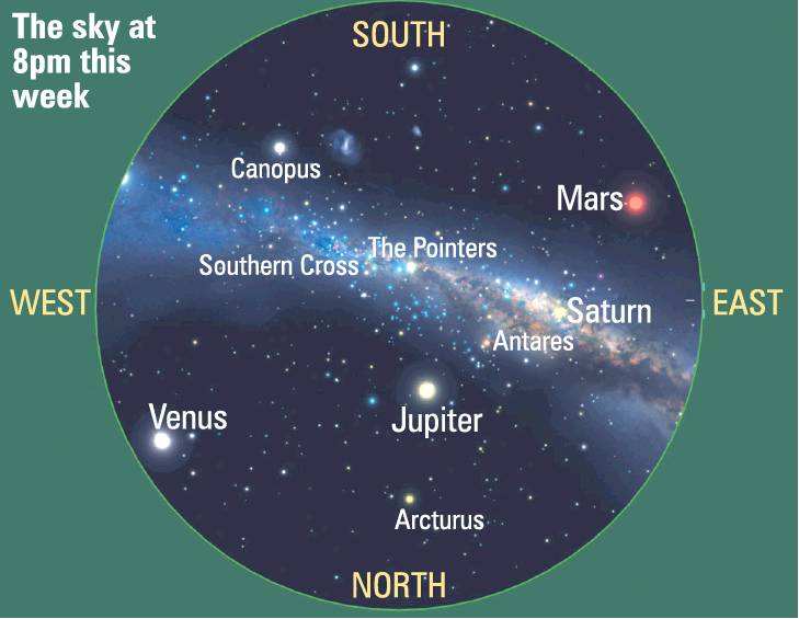 Hold this chart above your head to spot the four planets overhead this week.
