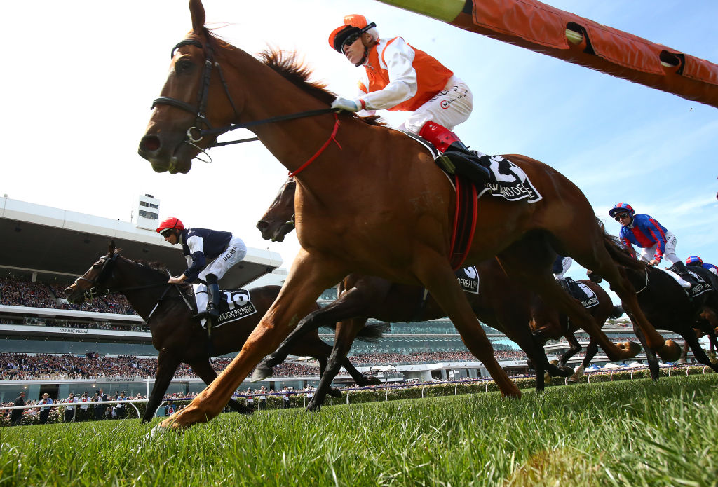 Craig Williams rides Vow And Declare to victory in the Melbourne Cup. Photo: Getty Images