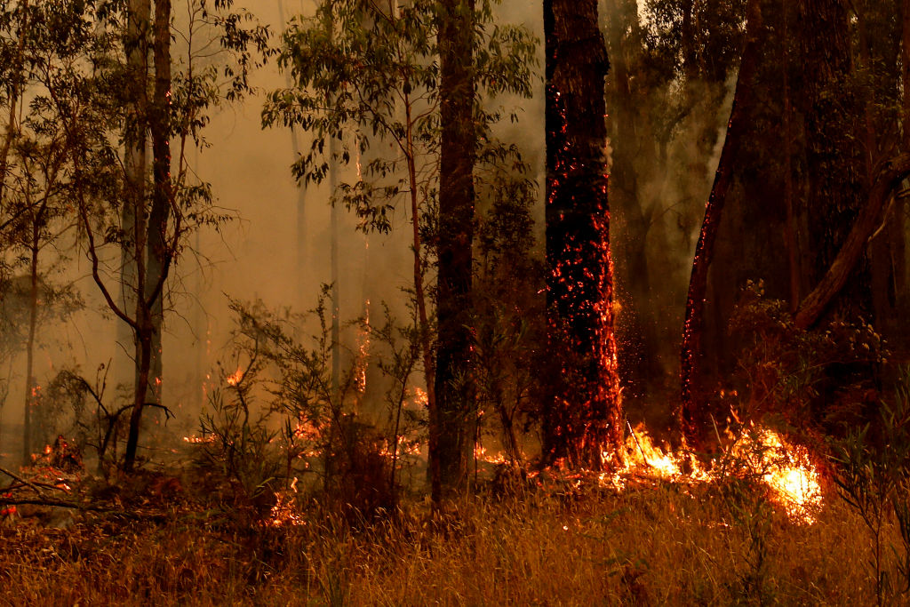 Third Victorian death raises bushfire toll Otago Daily Times Online News