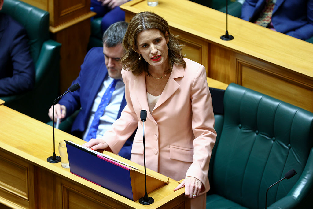 Finance Minister Nicola Willis delivers Budget 2026 at Parliament in Wellington. Photo: Getty Images Finance Minister Nicola Willis delivers Budget 2026 at Parliament in Wellington. Photo: Getty Images