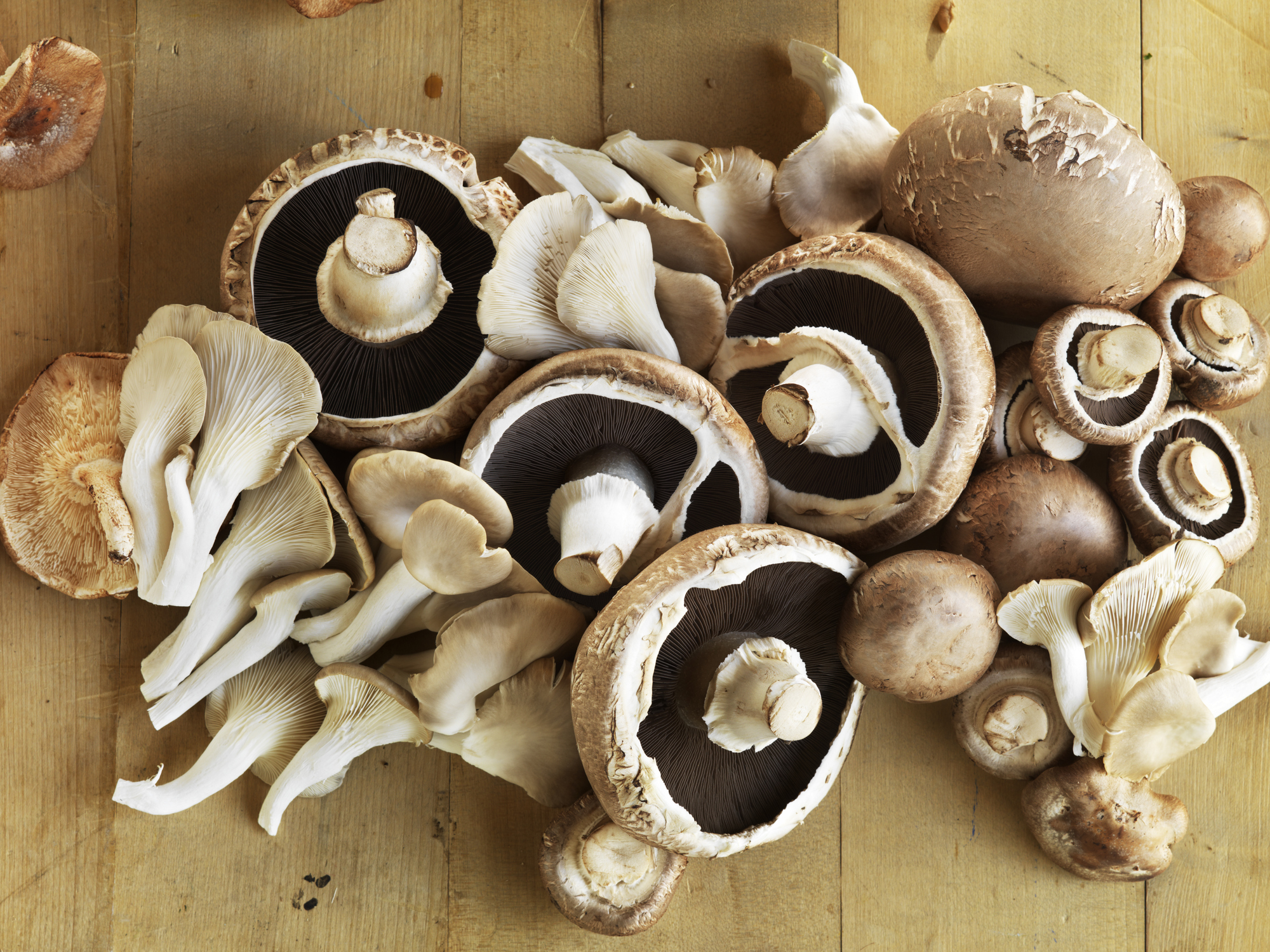 Mushrooms are a wonderful food source. Photo: Getty Images