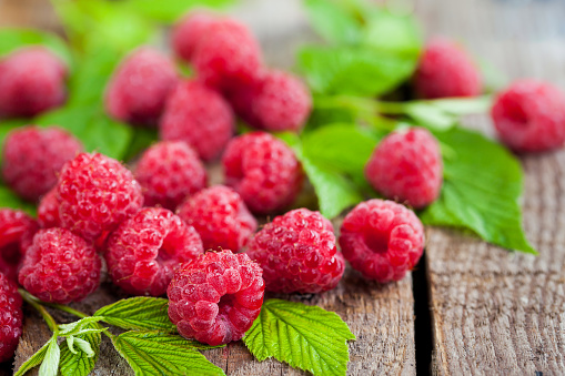 Raspberries are members of the rose family and, like many plants in this family, they are prized...