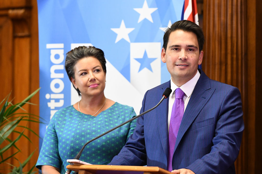 Simon Bridges speaks at Parliament after being chosen as the new National Party leader, watched...