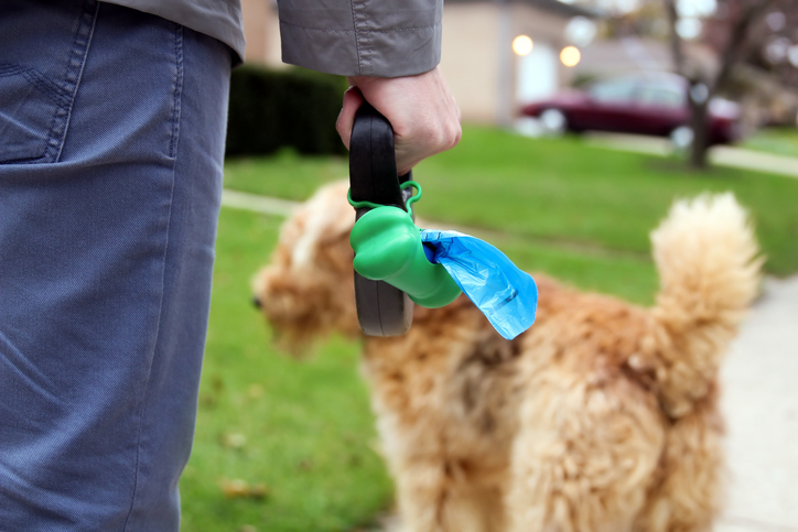 Why can’t some Dunedin dog owners take pride in their beautiful city and pick up after their...