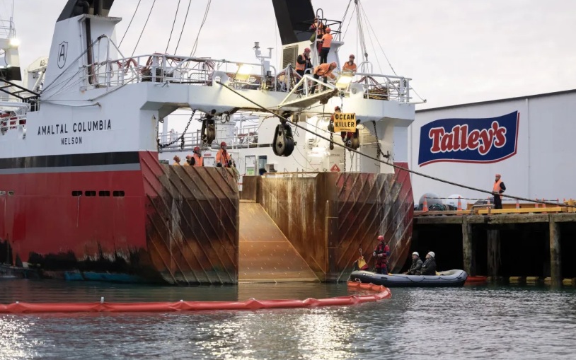Greenpeace activists have occupied Talley’s bottom trawler, Amaltal Columbia, stopping it from...